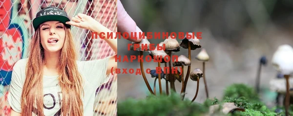 экстази Богородск