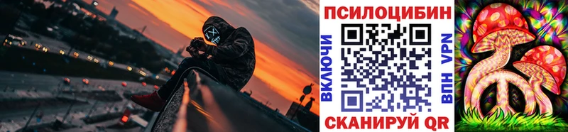 Псилоцибиновые грибы Psilocybe  Купить закладки  Аркадак 